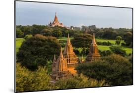 Temples in the Jungle at Sunrise, Bagan, Mandalay Region, Myanmar-Keren Su-Mounted Photographic Print