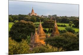 Temples in the Jungle at Sunrise, Bagan, Mandalay Region, Myanmar-Keren Su-Mounted Photographic Print