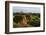 Temples in the Jungle at Sunrise, Bagan, Mandalay Region, Myanmar-Keren Su-Framed Photographic Print