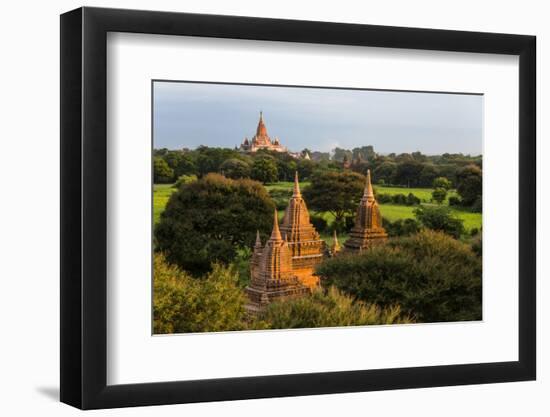 Temples in the Jungle at Sunrise, Bagan, Mandalay Region, Myanmar-Keren Su-Framed Photographic Print