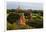 Temples in the Jungle at Sunrise, Bagan, Mandalay Region, Myanmar-Keren Su-Framed Photographic Print