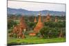 Temples in the Jungle at Sunrise, Bagan, Mandalay Region, Myanmar-Keren Su-Mounted Photographic Print