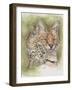 Tempo-Barbara Keith-Framed Giclee Print