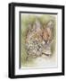 Tempo-Barbara Keith-Framed Premium Giclee Print