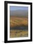 Temporary Heaven-Alan Mazzetti-Framed Giclee Print