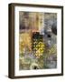 Temporary Illusion-Laura Gibson-Framed Art Print