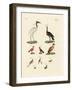 Ten American Birds-null-Framed Giclee Print