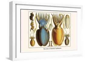 Ten Arm or Tentacle Cephlopods-Albertus Seba-Framed Art Print