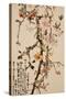 Ten Spring Flowers-Gao Qifeng-Stretched Canvas