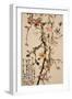 Ten Spring Flowers-Gao Qifeng-Framed Giclee Print