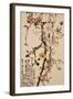 Ten Spring Flowers-Gao Qifeng-Framed Giclee Print