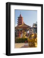 Ten Thousand Buddhas Monastery, Shatin, New Territories, Hong Kong, China, Asia-Ian Trower-Framed Photographic Print