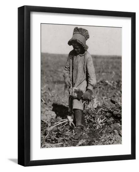 Photo, , large