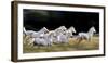 Ten-Milan Malovrh-Framed Photographic Print