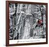 Tenacity-null-Framed Art Print