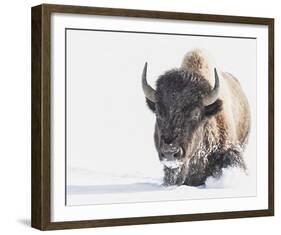 Tenacity-Wink Gaines-Framed Giclee Print