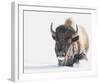 Tenacity-Wink Gaines-Framed Giclee Print