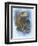 Tenacity-Barbara Keith-Framed Premium Giclee Print