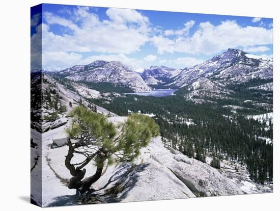 Tenaya Lake from Olstead Point on Tioga Pass, Yosemite National Park, California, USA-David Kjaer-Stretched Canvas