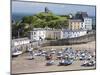 Tenby Harbour, Tenby, Pembrokeshire, Wales, United Kingdom, Europe-David Clapp-Mounted Photographic Print