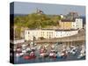 Tenby Harbour, Tenby, Pembrokeshire, Wales, United Kingdom, Europe-David Clapp-Stretched Canvas