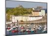 Tenby Harbour, Tenby, Pembrokeshire, Wales, United Kingdom, Europe-David Clapp-Mounted Photographic Print