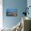 Tenby, Pembrokeshire, Wales, United Kingdom, Europe-Billy Stock-Stretched Canvas displayed on a wall