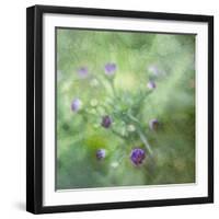 Tender Buds-Viviane Fedieu Daniel-Framed Photographic Print