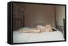 Tender Dreams-Anette Schive-Framed Stretched Canvas