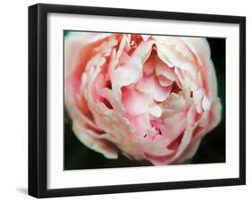 Tender Heart-Helen White-Framed Photographic Print