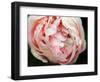 Tender Heart-Helen White-Framed Premium Photographic Print