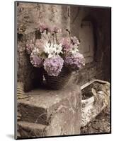 Tender Lavender Country Bouquet-Richard Sutton-Mounted Art Print