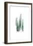 Tender Leaves 1-Urban Epiphany-Framed Art Print