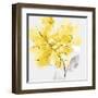 Tender Love II Yellow Version-Eva Watts-Framed Art Print