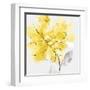 Tender Love II Yellow Version-Eva Watts-Framed Art Print