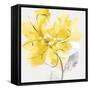 Tender Love II Yellow Version-Eva Watts-Framed Stretched Canvas