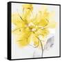 Tender Love II Yellow Version-Eva Watts-Framed Stretched Canvas