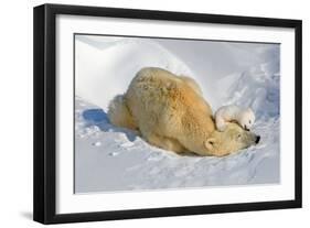 Tender Moment with Mother and Cub-Howard Ruby-Framed Premium Photographic Print