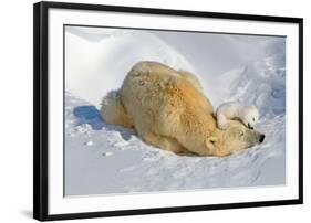 Tender Moment with Mother and Cub-Howard Ruby-Framed Photographic Print