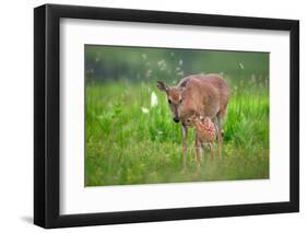 Tender Moment-Nick Kalathas-Framed Photographic Print