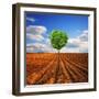 Tender Nature-Philippe Sainte-Laudy-Framed Photographic Print