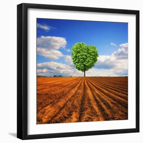 Tender Nature-Philippe Sainte-Laudy-Framed Photographic Print