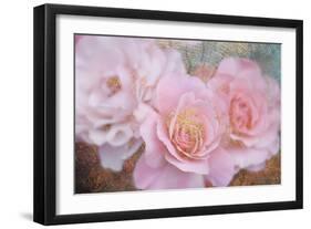 Tender roses-Viviane Fedieu Danielle-Framed Photographic Print