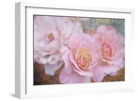 Tender roses-Viviane Fedieu Danielle-Framed Photographic Print