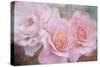 Tender roses-Viviane Fedieu Danielle-Stretched Canvas