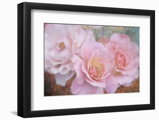 Tender roses-Viviane Fedieu Danielle-Framed Photographic Print