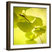 Tenderly Green-Philippe Sainte-Laudy-Framed Photographic Print