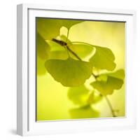 Tenderly Green-Philippe Sainte-Laudy-Framed Photographic Print