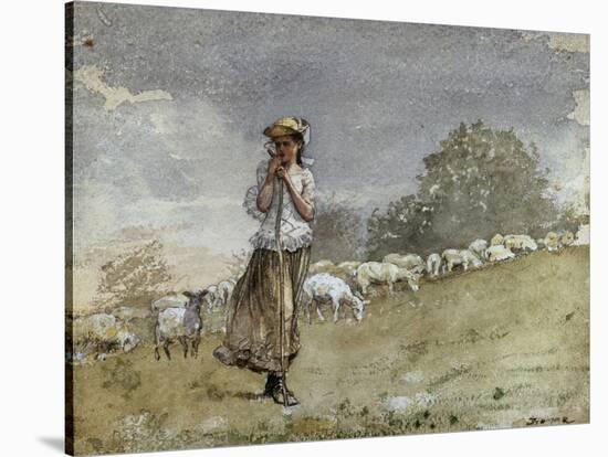 Tending Sheep, Houghton Farm-Winslow Homer-Stretched Canvas