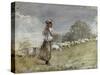 Tending Sheep, Houghton Farm-Winslow Homer-Stretched Canvas